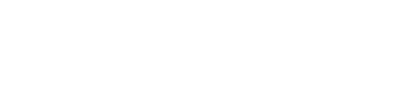 Tiktok Review